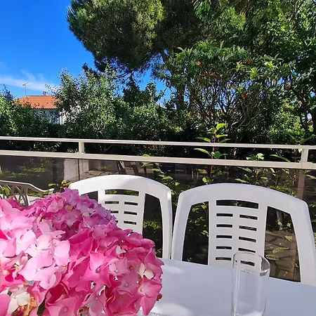 Georges De Didonne - Quartier Ideal Pour Se Ressourcer - Maison Renovee