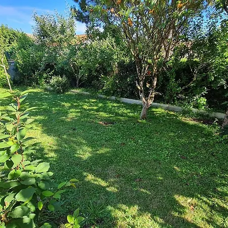 Georges De Didonne - Quartier Ideal Pour Se Ressourcer - Maison Renovee * סן-ז'ורז'-דה-דידון